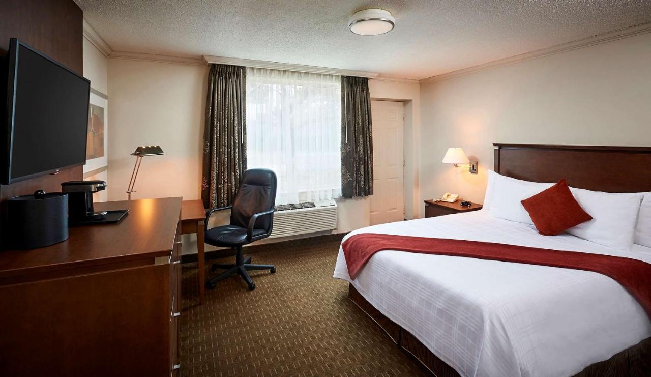 Standard Queen Room