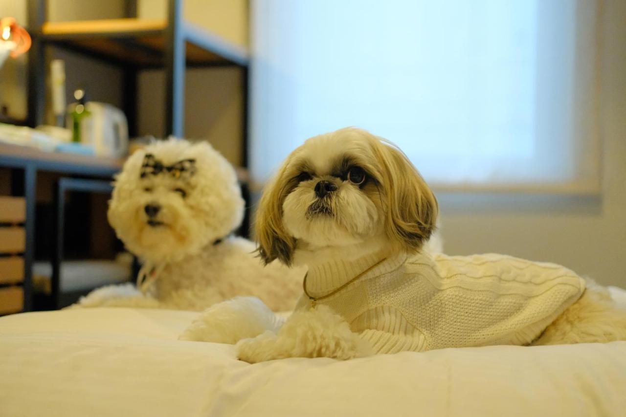 Dog-Friendly Deluxe Twin Room Non-Smoking Two Dog,1152548490:JPEG