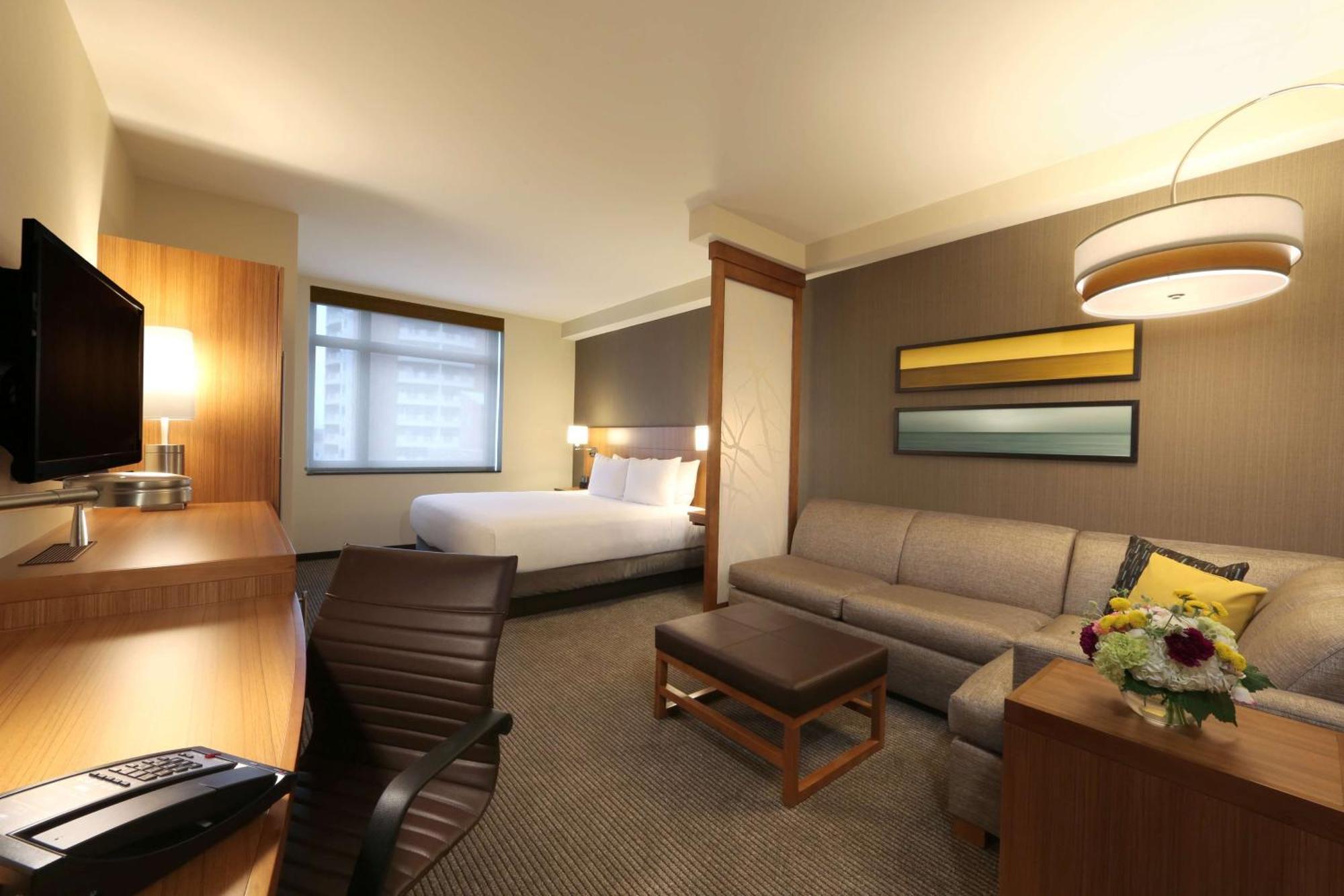 King Room Sofa Bed