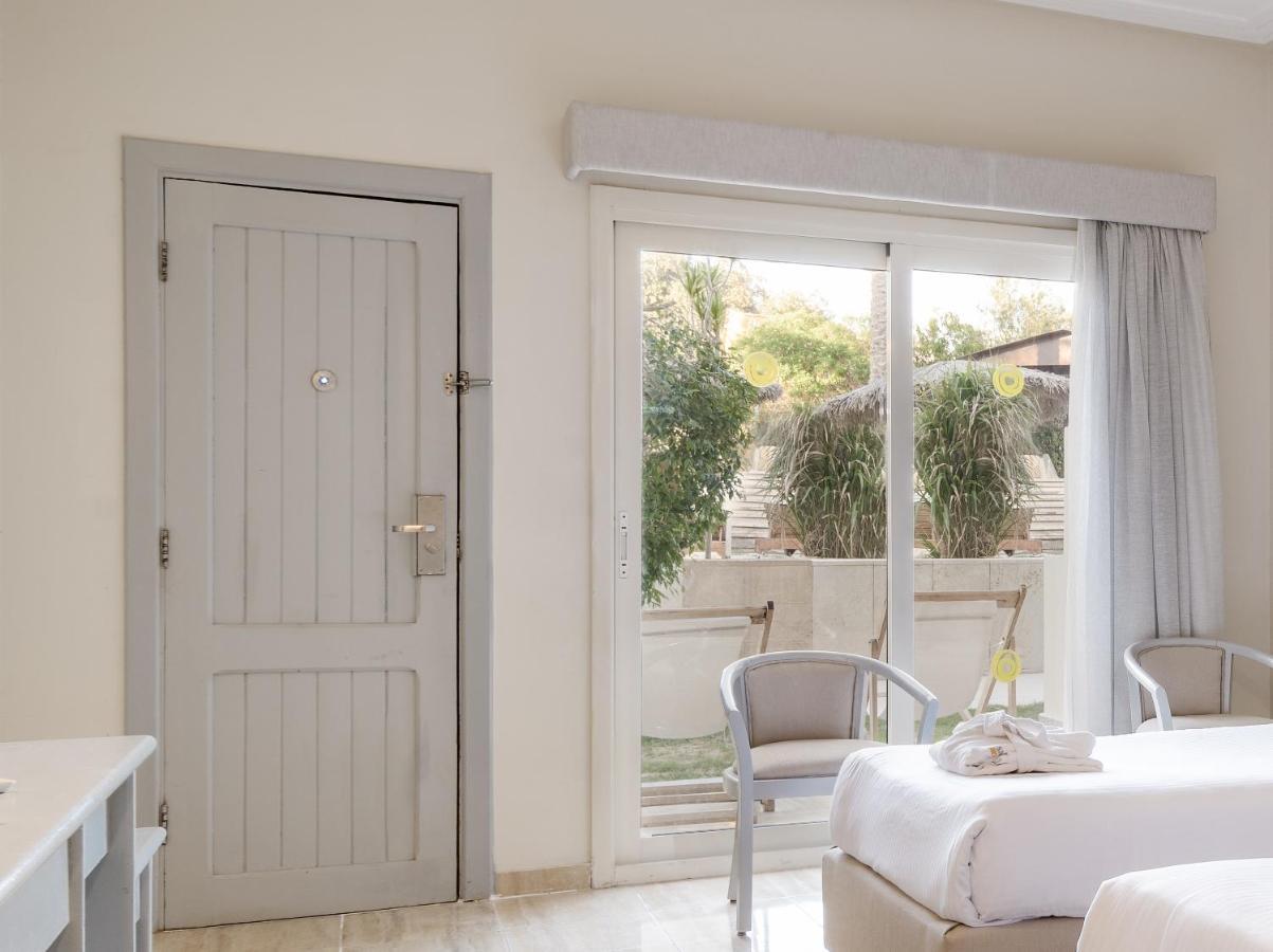 Premium Familiekamer met 1 Slaapkamer