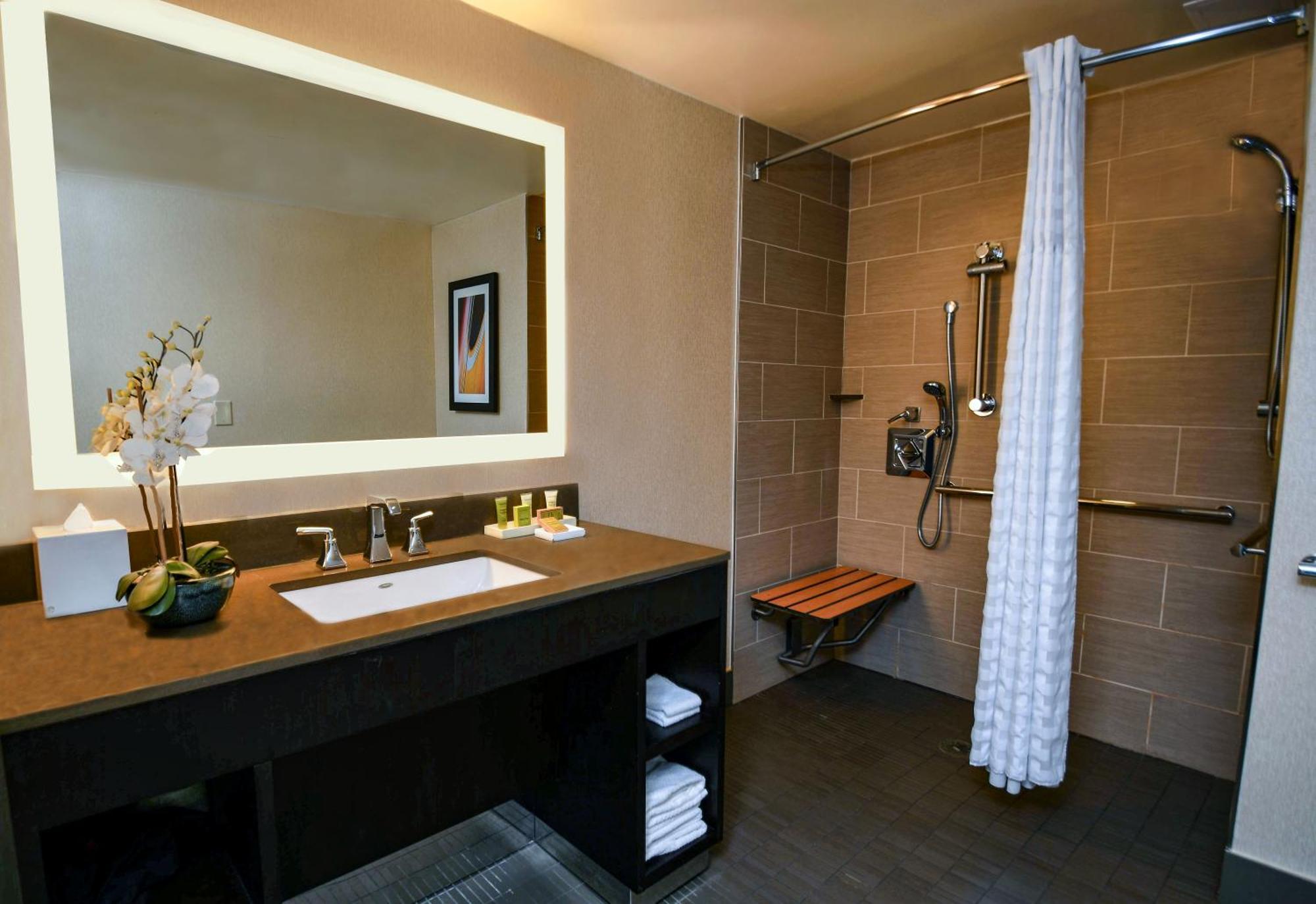 King Room with Roll-In Shower - Disability Access