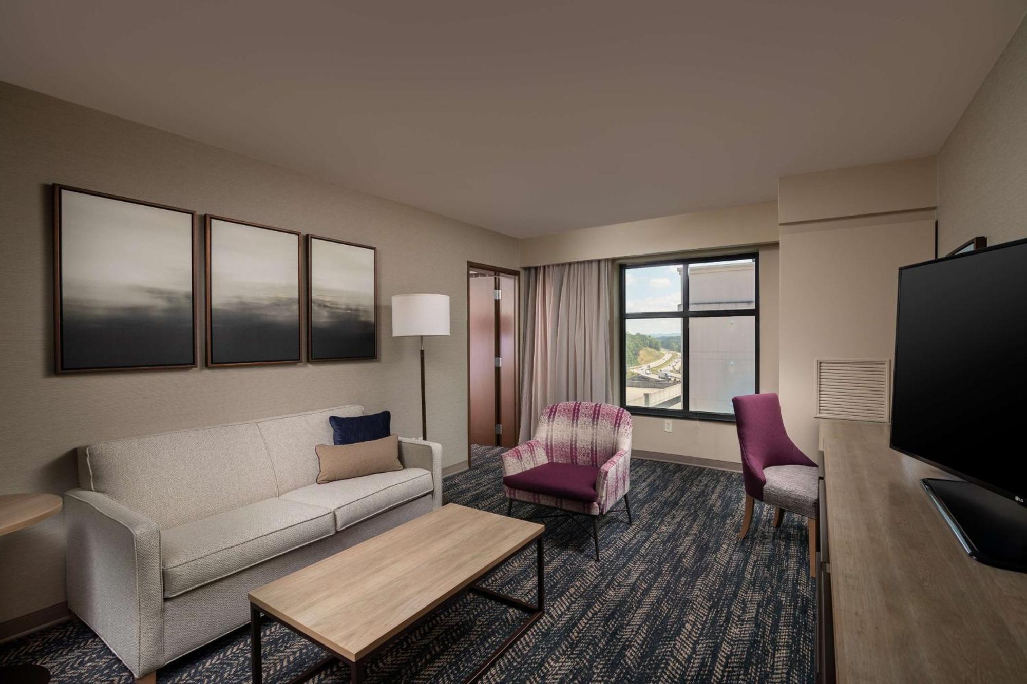 One-Bedroom King Suite with Sofa Bed,1551411577:JPEG