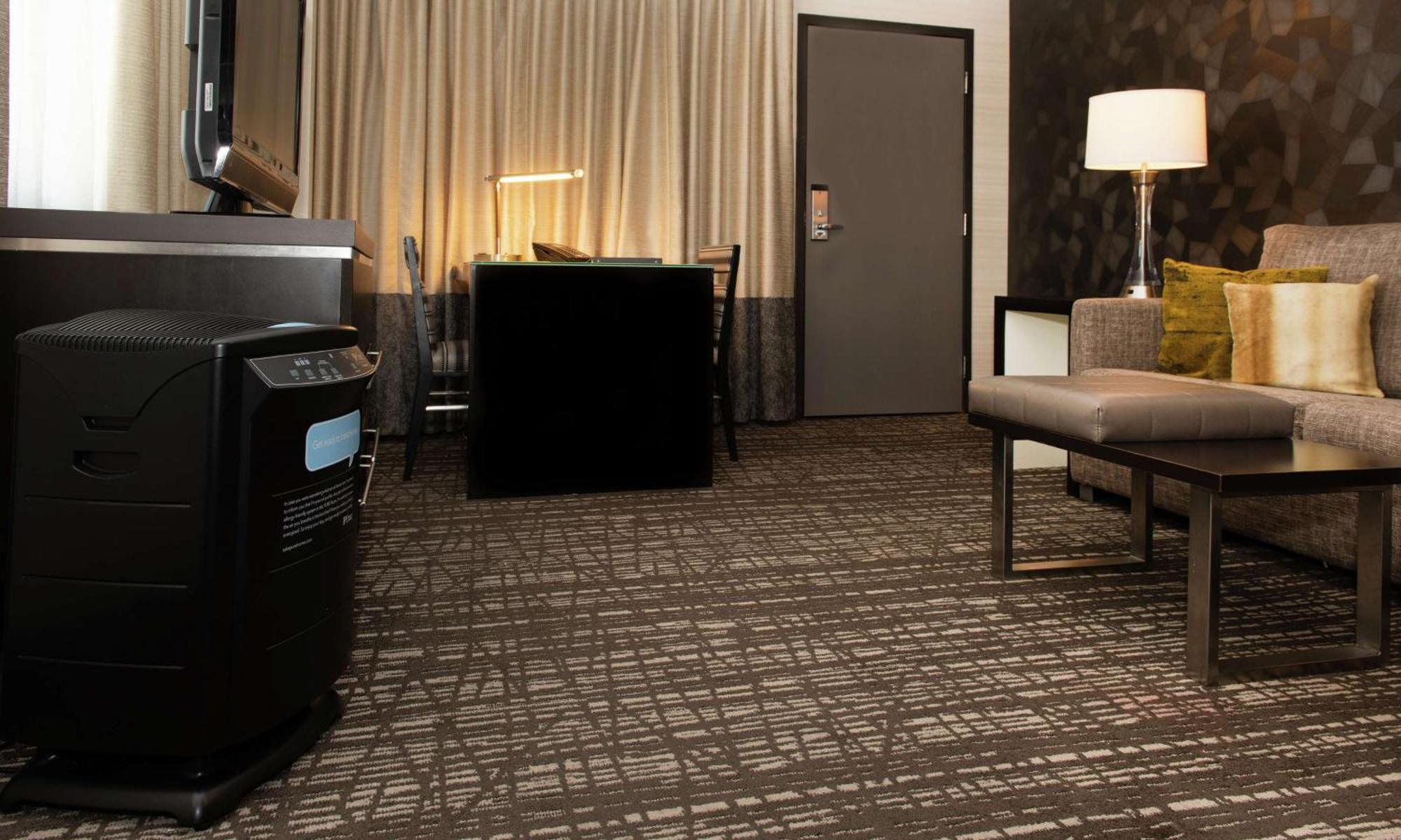 Premium King Suite