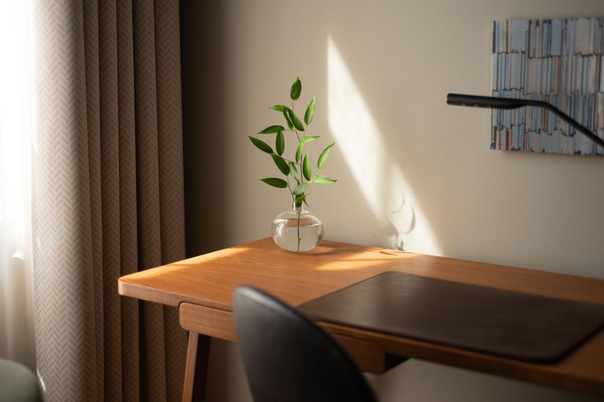 Standard Doppelzimmer