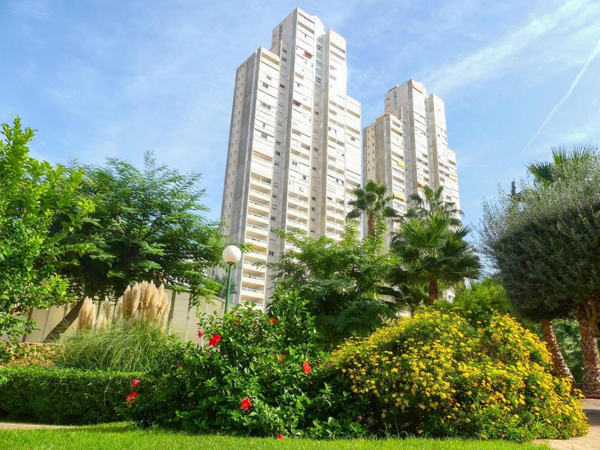 Apartment Garden View