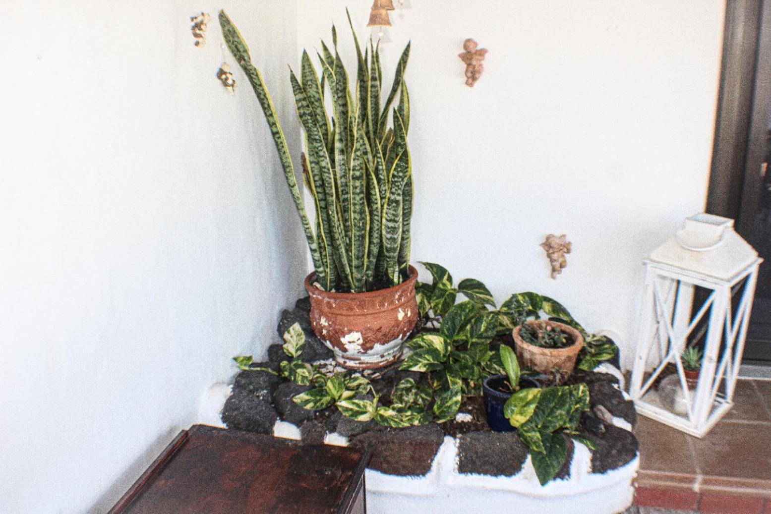 Apartamento Deluxe