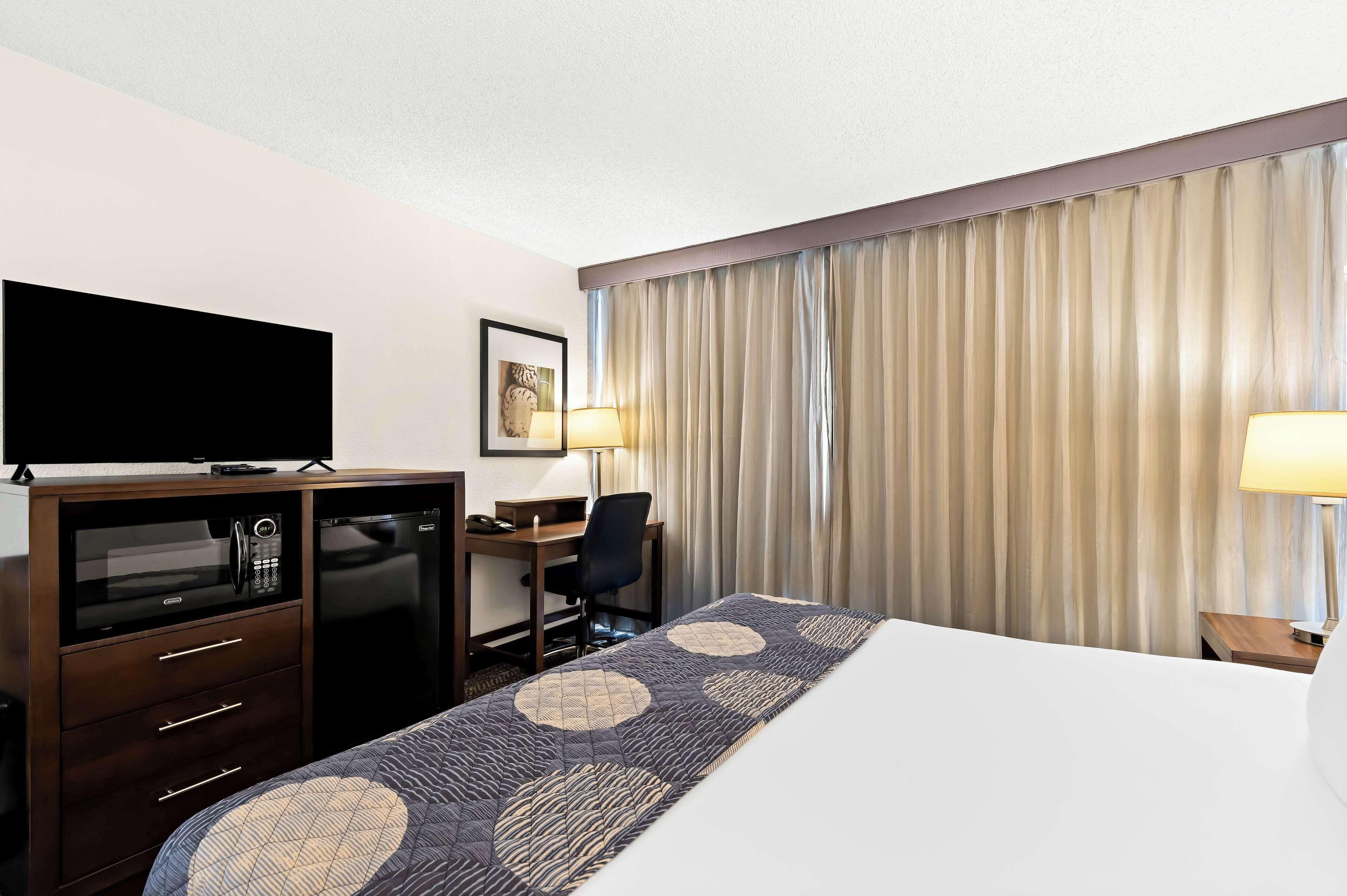 Standard King Room