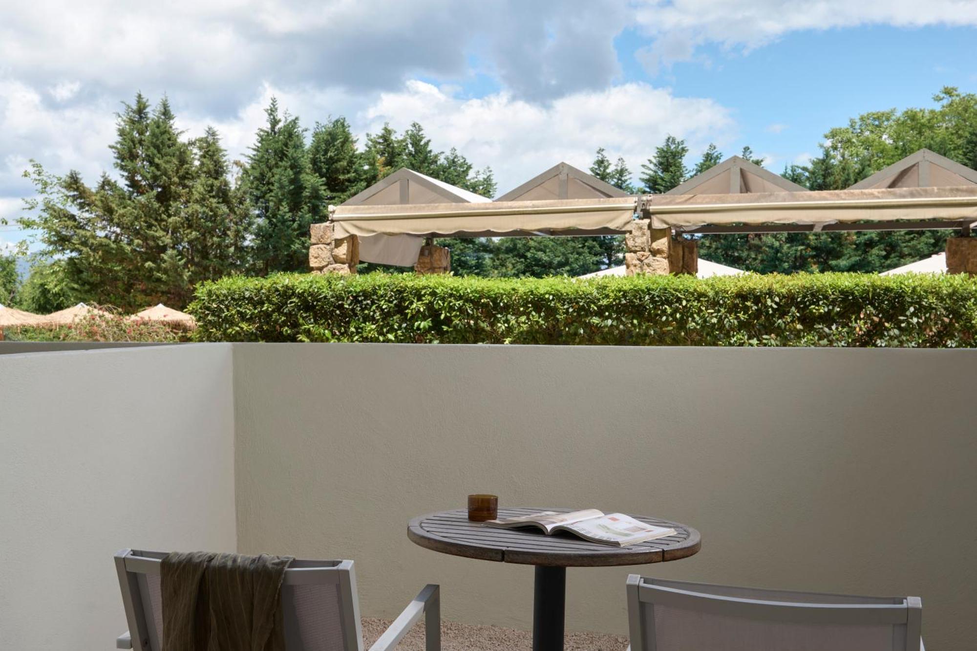 Double or Twin Room Garden View