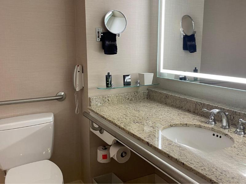 King Room Disability Access