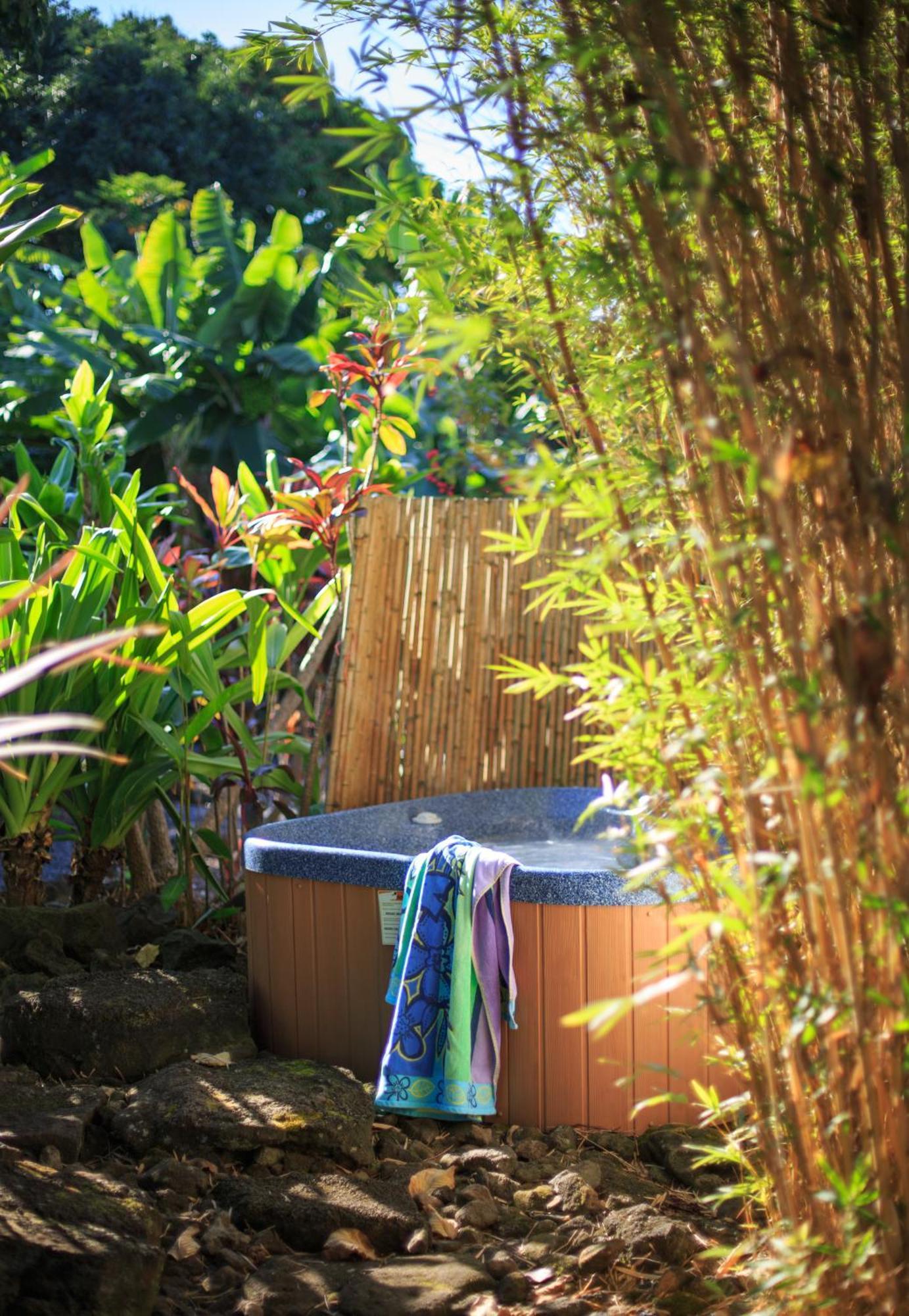King Room Garden View