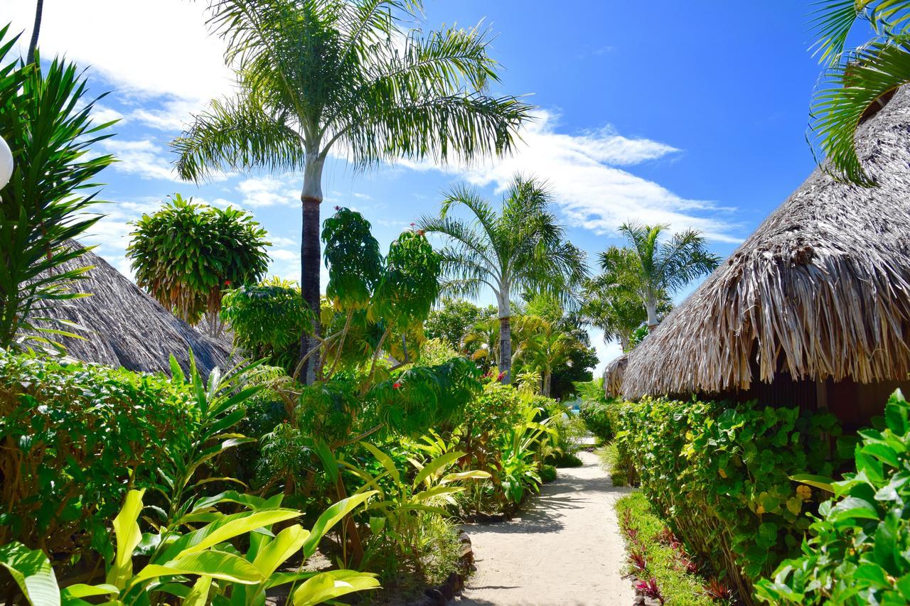 Bungalow Garden View