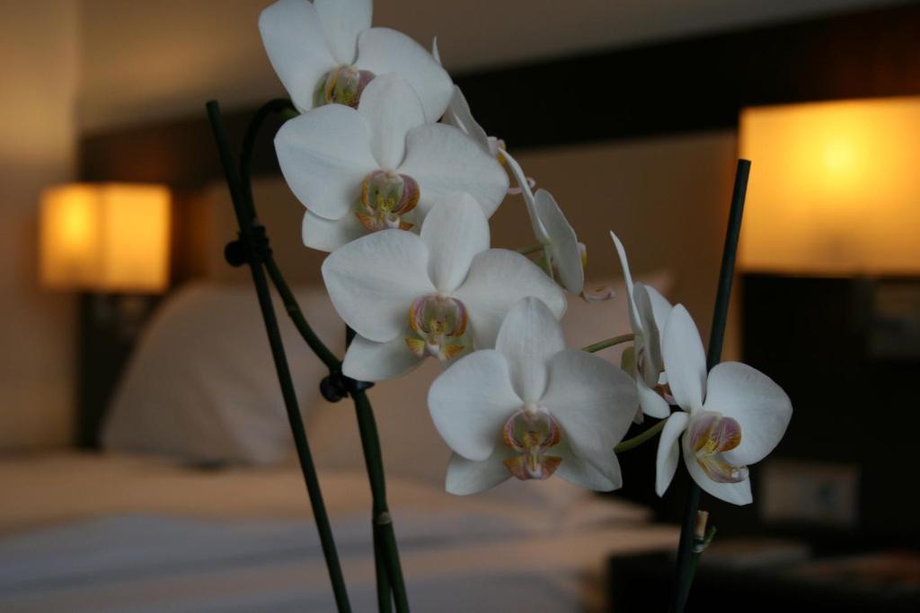 Business Queen Room with Queen Bed