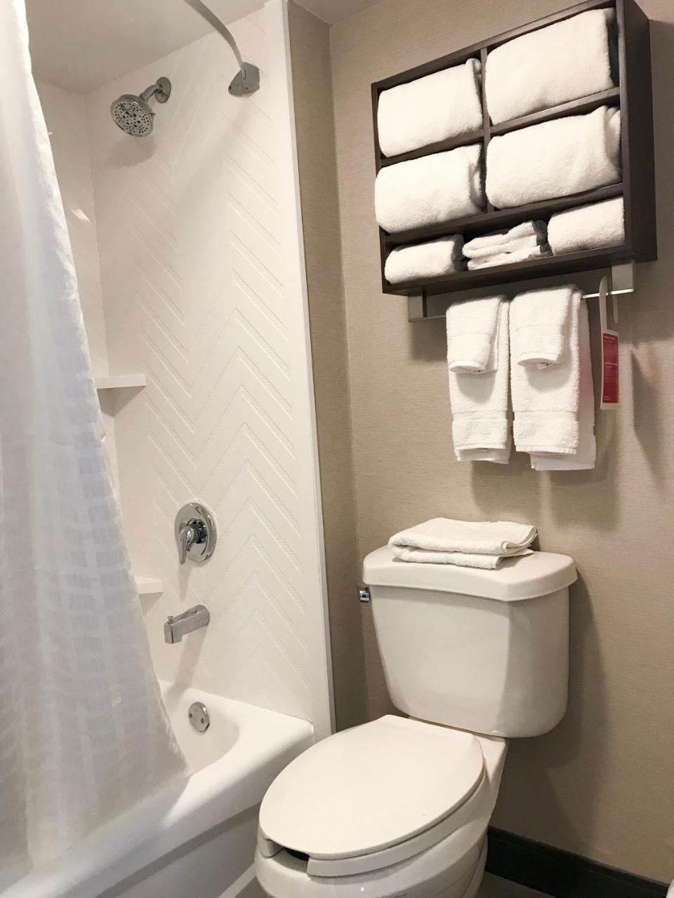 Studio Suite with Two Double Beds - Non-Smoking,775897216:JPEG