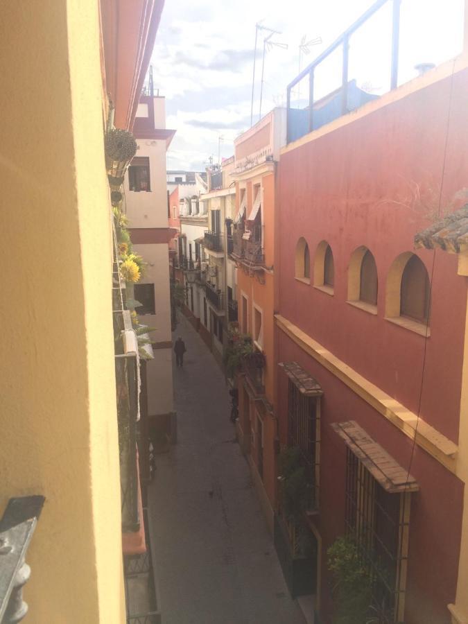 Standard Single Room with Shared Bathroom,664880418:JPEG