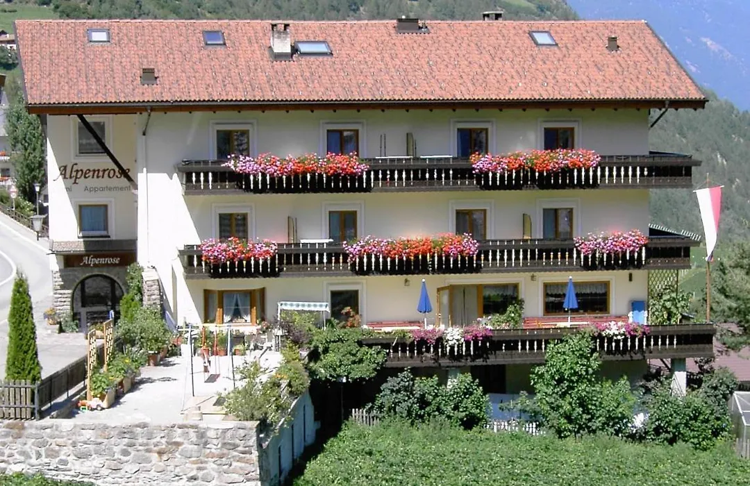 Alpenrose-1