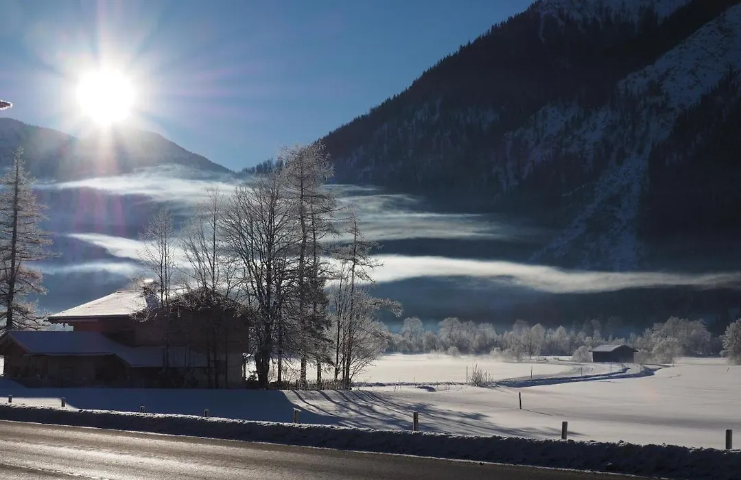 Deva Hotel Alpenhof-1