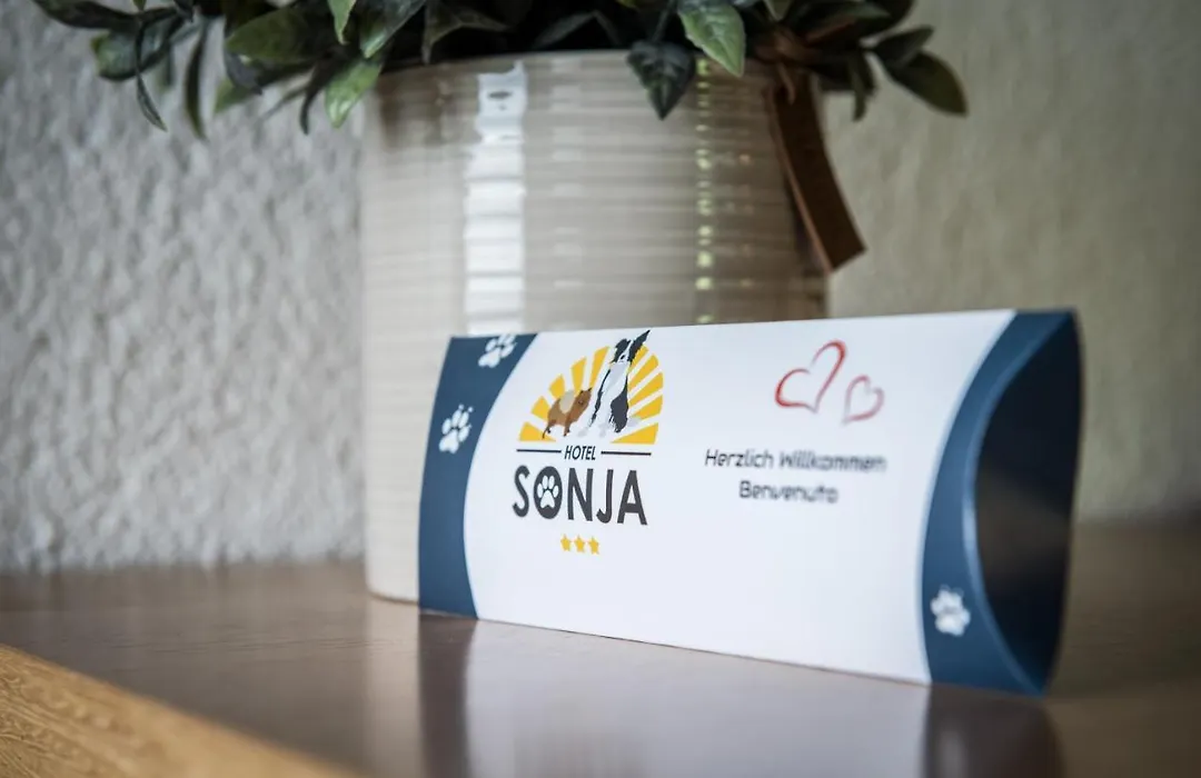 Hotel Sonja-1