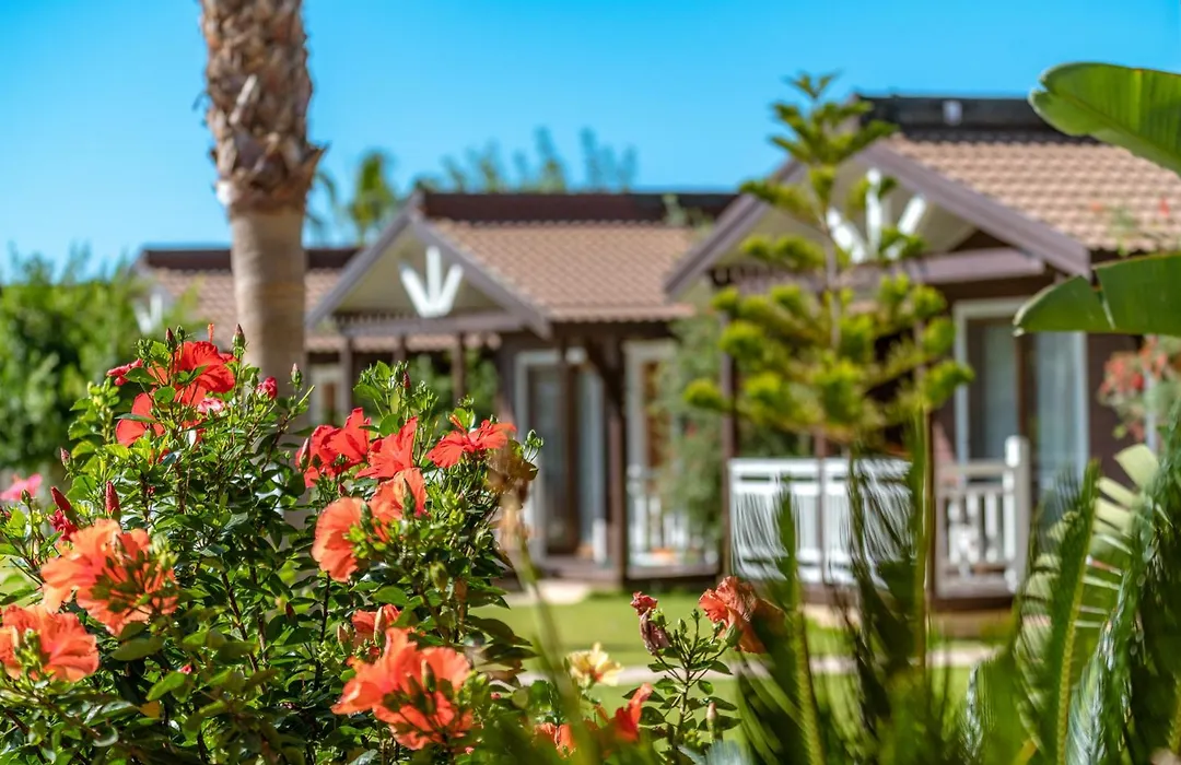 Sedir Park - Beach Bungalow-1