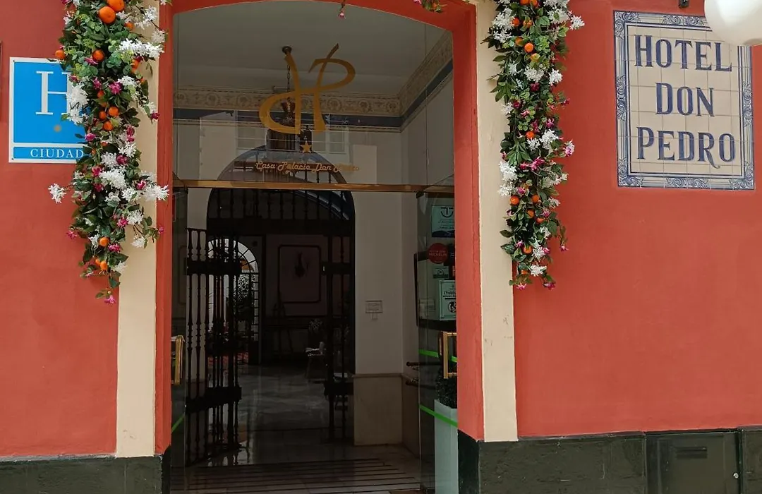 Casa Palacio Don Pedro-1