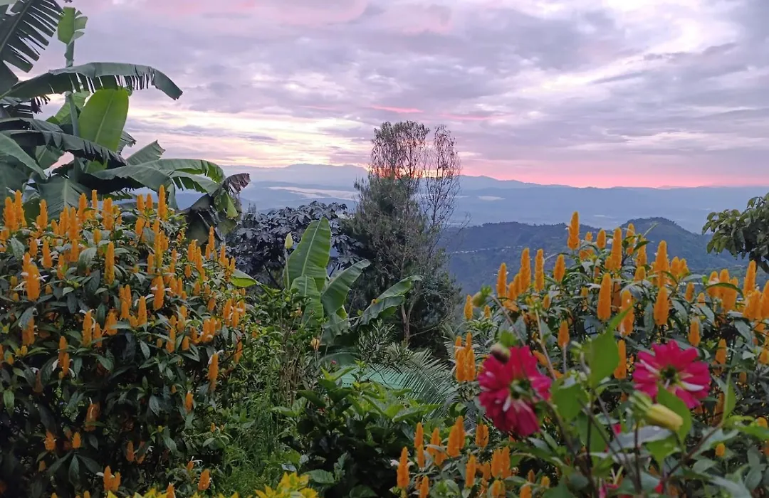 Mirador Finca Morrogacho-1