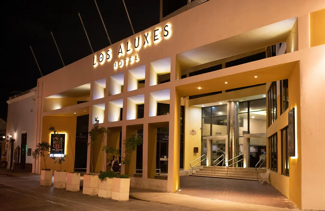 Hotel Los Aluxes-1