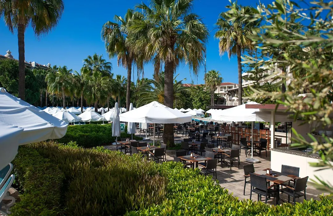 Barut Hemera-1