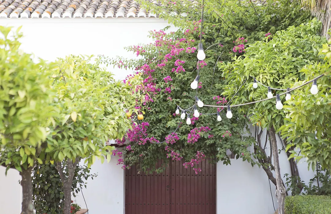 Hotel Cortijo del Arte - Caminito del Rey-1