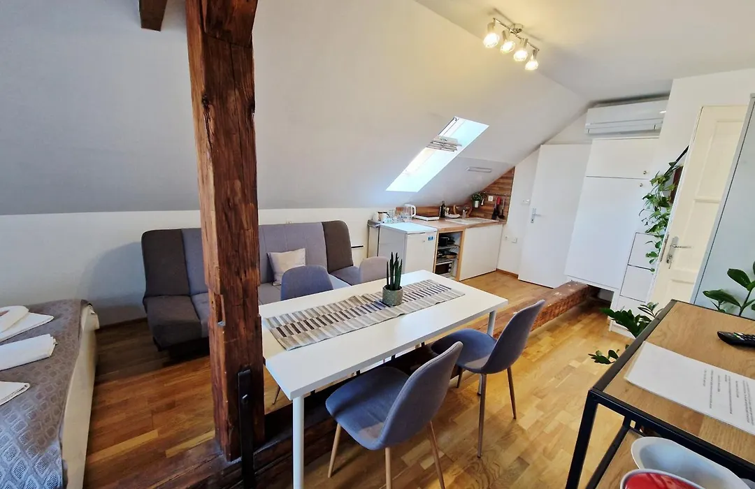 B&B Vila Teslova-1