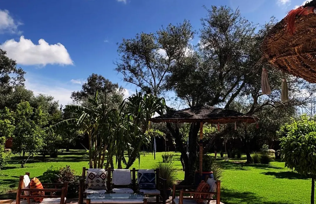 Palais Riad Berbere-1