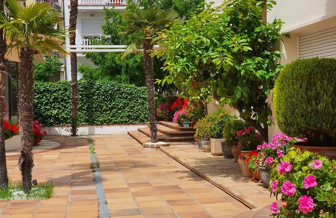 Hotel Mireia-1