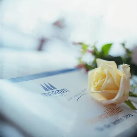 Maritim Hotel Halle-3