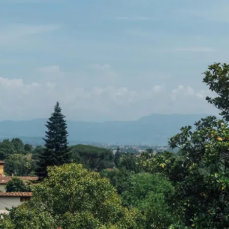 Buonvisi B&B-3