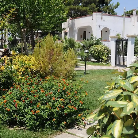 B&B Stellamarina-3