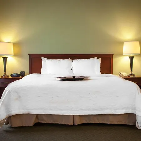 Hampton Inn & Suites, Springfield Sw-2