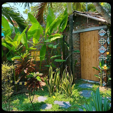 The Happy Bird B&B-2