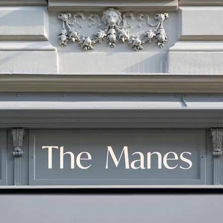 The Manes Boutique Hotel Prague-2