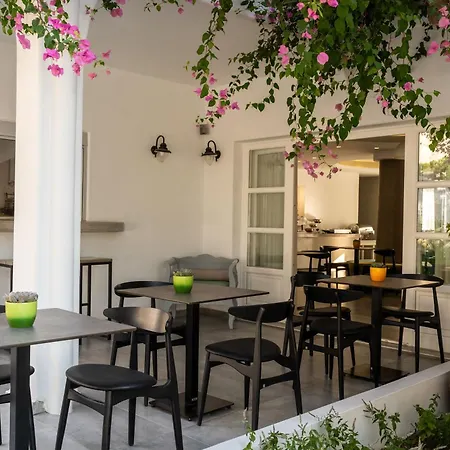 Hippocampus Hotel-2