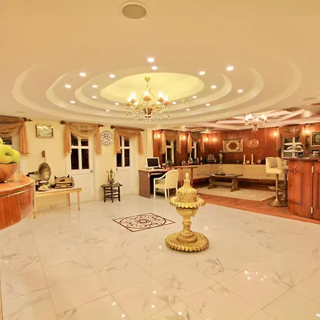Hotel Historia-Special Category-2