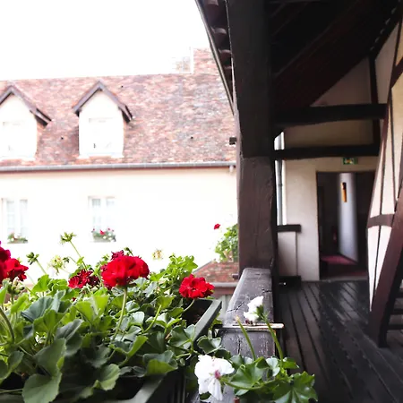 Hôtel Wilson - Teritoria-2