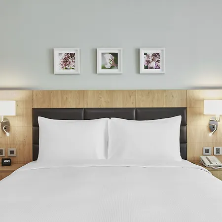 Hilton Garden Inn Dubai, Mall Avenue-3