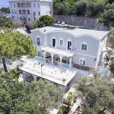 Sorrento Dream-2