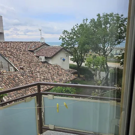 Hotel Ariella-2