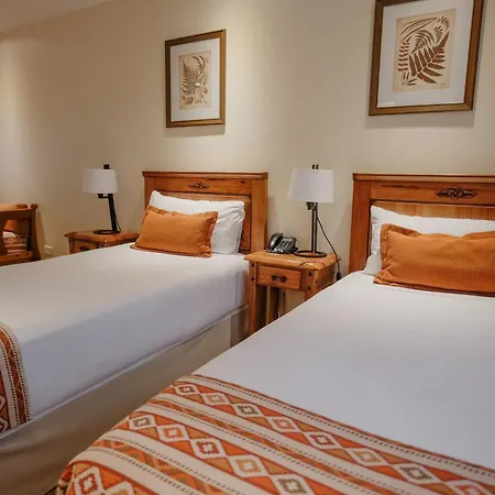 Hostal Del Bosque-2