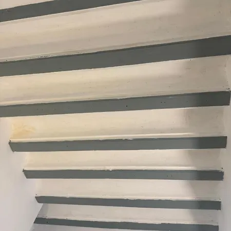 Alegoría Coliving Experience-2
