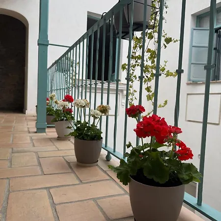 Alegoría Coliving Experience-3