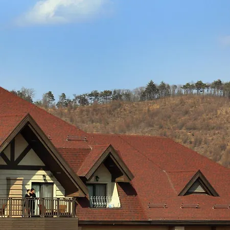 Intercontinental Alpensia Pyeongchang Resort By Ihg-2