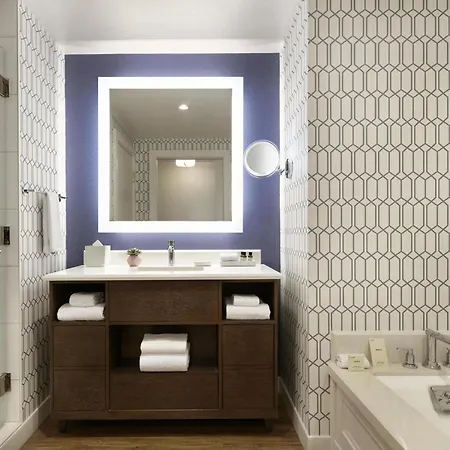 Fairmont Austin-3