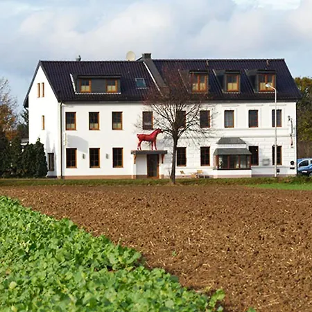 Hotel-Restaurant Rotes Einhorn Düren *** Superior-2