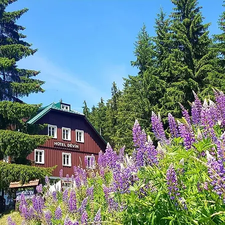Hotel Devin-3