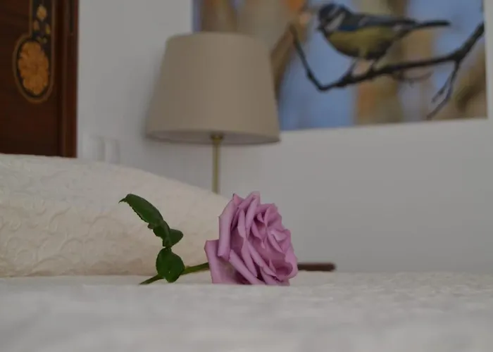 Monte Da Floresta B&B